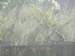 010806_2368_EM